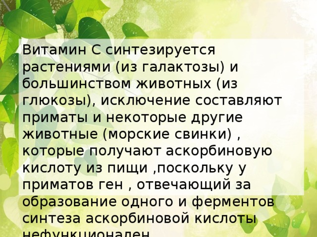 Витамин С синтезируется растениями (из галактозы) и большинством животных (из глюкозы), исключение составляют приматы и некоторые другие животные (морские свинки) , которые получают аскорбиновую кислоту из пищи ,поскольку у приматов ген , отвечающий за образование одного и ферментов синтеза аскорбиновой кислоты нефункционален.