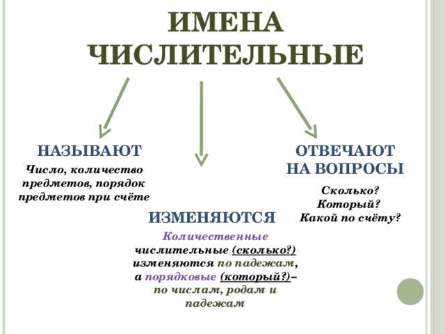 ИМЕНА ЧИСЛИТЕЛЬНЫЕ НАЗЫВАЮТ ОТВЕЧАЮТ НА ВОПРОСЫ Число, количество предметов, порядок предметов при счёте Сколько? Который? Какой по счёту? ИЗМЕНЯЮТСЯ Количественные числительные (сколько?) изменяются по падежам , а порядковые  (который?) – по числам, родам и падежам