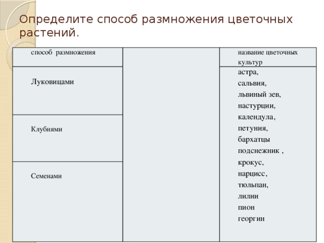 Определите способ размножения цветочных растений. способ размножения название цветочных культур Луковицами астра, Клубнями Семенами сальвия, львиный зев, настурции, календула, петуния, бархатцы подснежник , крокус, нарцисс, тюльпан, лилии пион георгин 