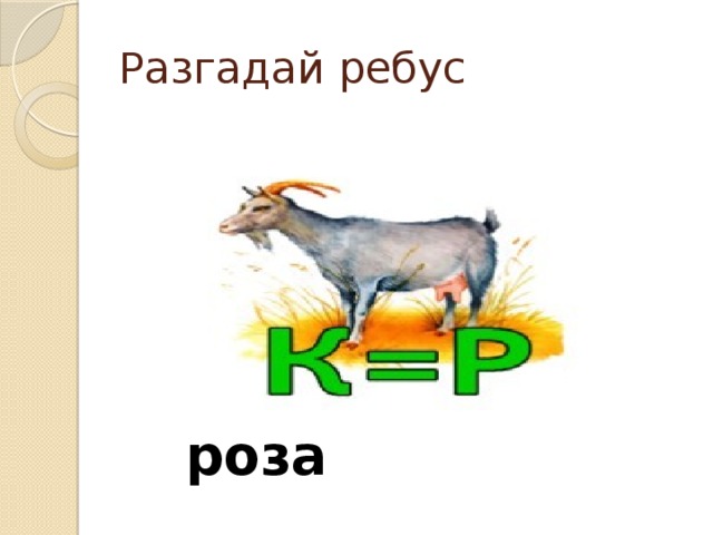 Разгадай ребус роза 