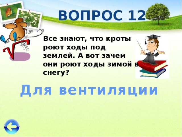 ВОПРОС 12 Все знают, что кроты роют ходы под землей. А вот зачем они роют ходы зимой в снегу? Для вентиляции 