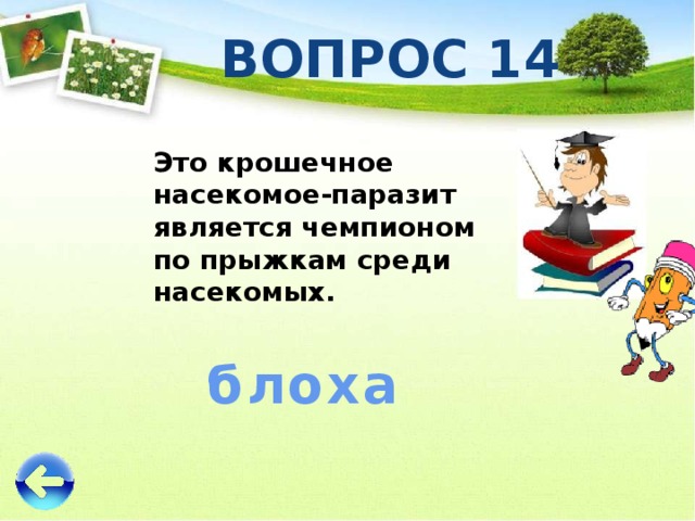 ВОПРОС 14 Это крошечное насекомое-паразит является чемпионом по прыжкам среди насекомых. блоха 