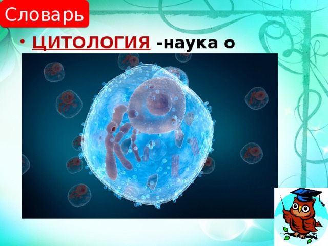 Словарь ЦИТОЛОГИЯ -наука о клетке. 