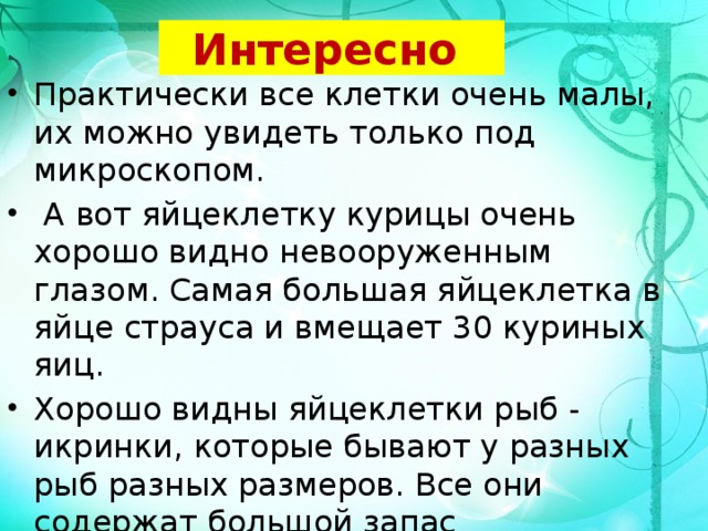 Интересно  Практически все клетки очень малы, их можно увидеть только под микроскопом.  А вот яйцеклетку курицы очень хорошо видно невооруженным глазом. Самая большая яйцеклетка в яйце страуса и вмещает 30 куриных яиц. Хорошо видны яйцеклетки рыб - икринки, которые бывают у разных рыб разных размеров. Все они содержат большой запас питательных веществ, необходимый для развития зародыша. 