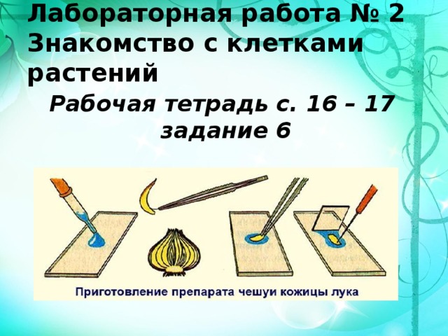 5 Класс Знакомство