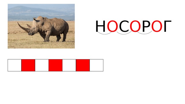 Н О С О Р О Г 