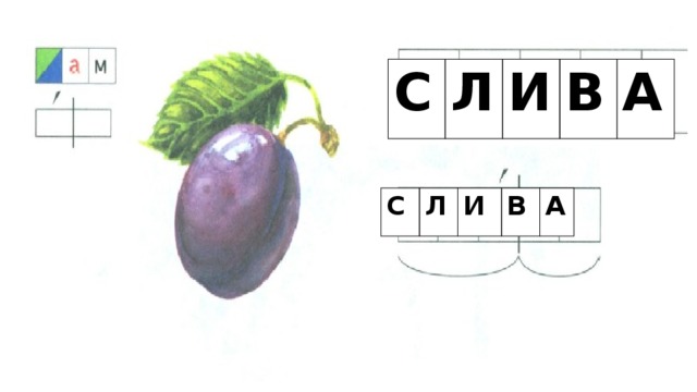 С Л И В А С Л И В А 
