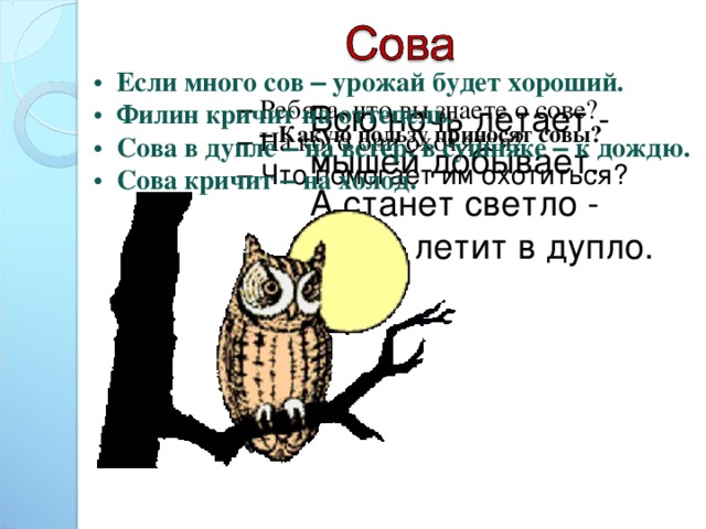 а сова все ближе ближе