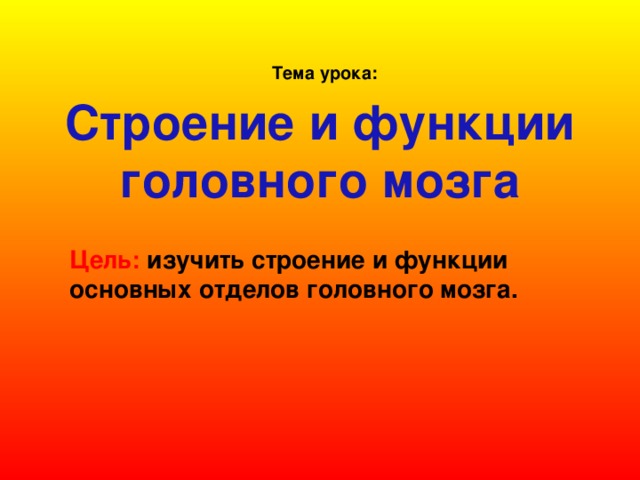 Тема урока:   Строение и функции головного мозга Цель: изучить строение и функции основных отделов головного мозга.    