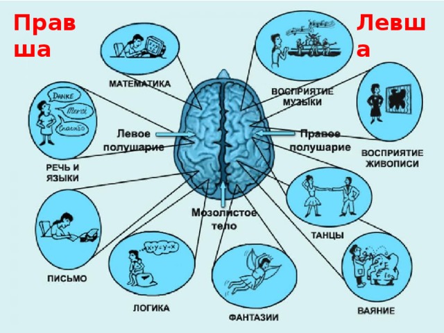 Левша Правша 