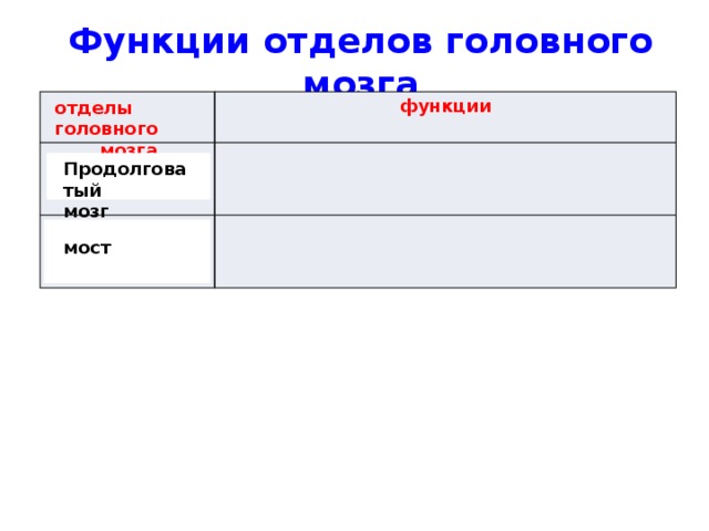 Функции отделов головного мозга функции отделы головного мозга Продолговатый мозг мост 