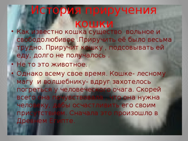 История приручения кошки Как известно кошка существо вольное и свободолюбивое .Приручить её было весьма трудно. Приручит кошку , подсовывать ей еду, долго не получалось . Не то это животное. Однако всему свое время. Кошке- лесному магу и волшебнику- вдруг захотелось погреться у человеческого очага. Скорей всего она почувствовала , что она нужна человеку, дабы осчастливить его своим присутствием. Сначала это произошло в Древнем Египте. 