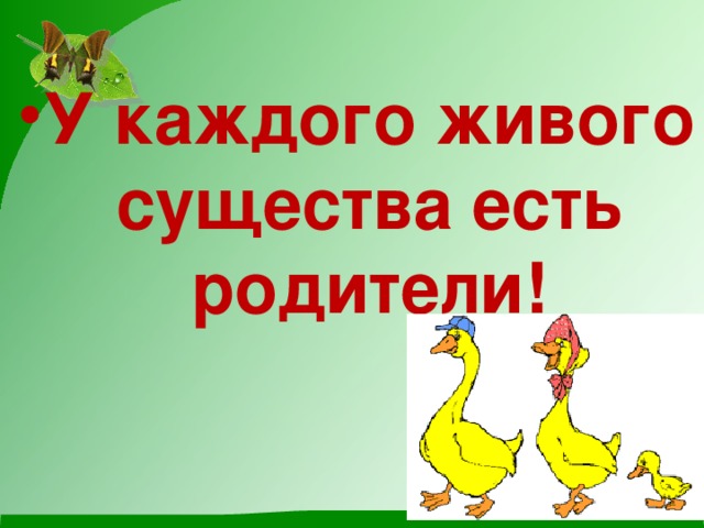 У каждого живого существа есть родители! 