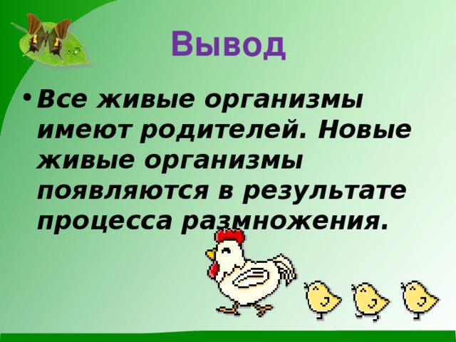 Вывод Все живые организмы имеют родителей. Новые живые организмы появляются в результате процесса размножения. 