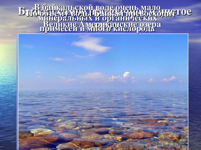 В байкальской воде очень мало минеральных и органических примесей и много кислорода По объему воды Байкал превосходит Великие Американские озера Байкал самое прозрачное и чистое озеро 