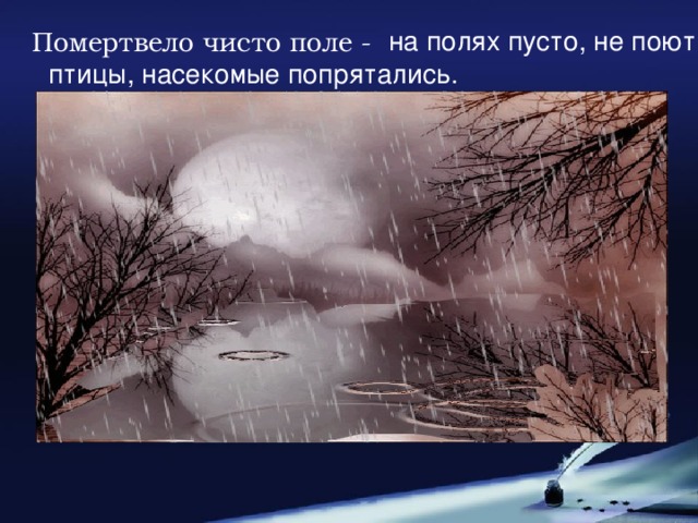 Помертвело чисто поле - на полях пусто, не поют птицы, насекомые попрятались.