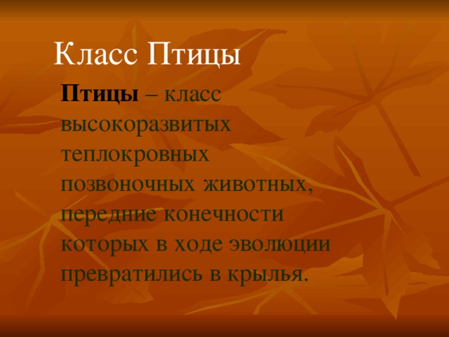 Класс Птицы Птицы  – класс высокоразвитых теплокровных позвоночных животных, передние конечности которых в ходе эволюции превратились в крылья. 