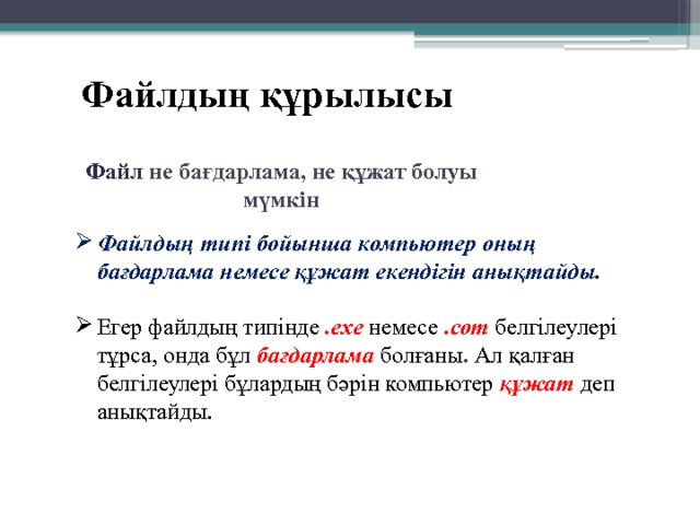 Файлдың құрылысы Файл  не бағдарлама, не құжат болуы мүмкін Файлдың типі бойынша компьютер оның бағдарлама немесе құжат екендігін анықтайды.  Егер файлдың типінде  .ехе немесе .соm белгілеулері тұрса, онда бұл бағдарлама  болғаны . Ал қалған белгілеулері бұлардың бәрін компьютер  құжат  деп анықтайды. 