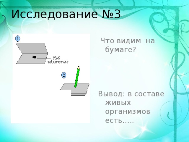 Исследование №3  Что видим на бумаге? Вывод: в составе живых организмов есть….. 