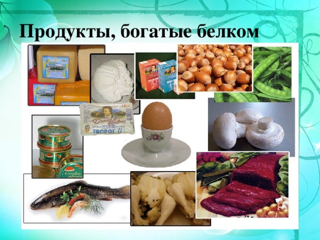 Продукты, богатые белком 