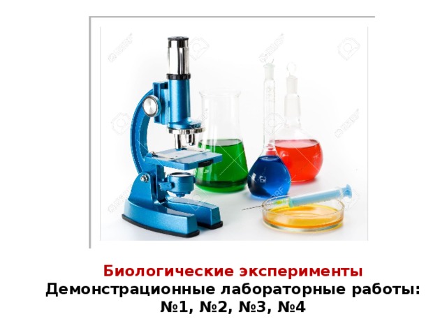 Биологические эксперименты Демонстрационные лабораторные работы: № 1, №2, №3, №4 