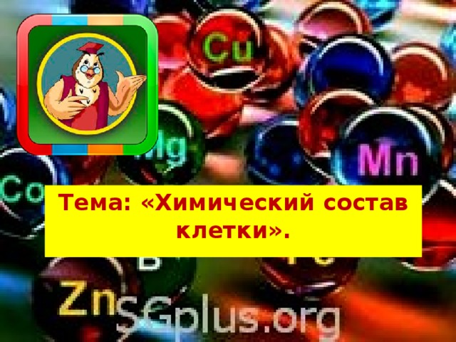 Тема: «Химический состав клетки». 