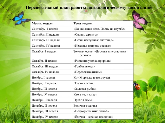 План по экологии
