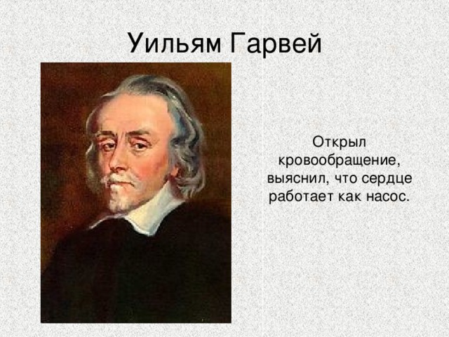 Уильям Гарвей Открыл кровообращение, выяснил, что сердце работает как насос. 