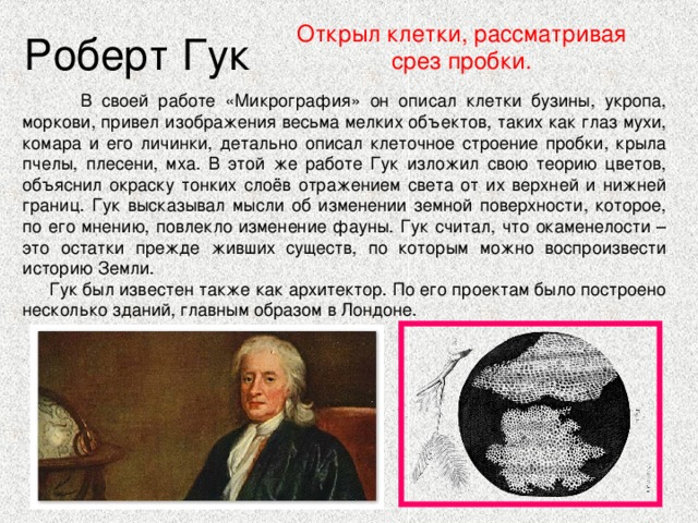 Роберт Гук Открыл клетки, рассматривая срез пробки.  В своей работе «Микрография» он описал клетки бузины, укропа, моркови, привел изображения весьма мелких объектов, таких как глаз мухи, комара и его личинки, детально описал клеточное строение пробки, крыла пчелы, плесени, мха. В этой же работе Гук изложил свою теорию цветов, объяснил окраску тонких слоёв отражением света от их верхней и нижней границ. Гук высказывал мысли об изменении земной поверхности, которое, по его мнению, повлекло изменение фауны. Гук считал, что окаменелости – это остатки прежде живших существ, по которым можно воспроизвести историю Земли.  Гук был известен также как архитектор. По его проектам было построено несколько зданий, главным образом в Лондоне. 