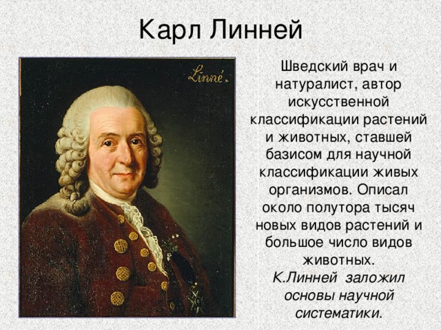 Карл Линней Шведский врач и натуралист, автор искусственной классификации растений и животных, ставшей базисом для научной классификации живых организмов. Описал около полутора тысяч новых видов растений и большое число видов животных. К.Линней заложил основы научной систематики. 