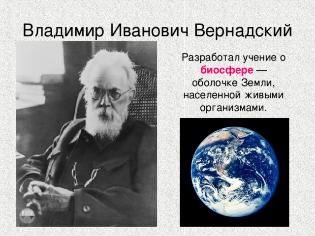 Владимир Иванович Вернадский Разработал учение о биосфере — оболочке Земли, населенной живыми организмами. 