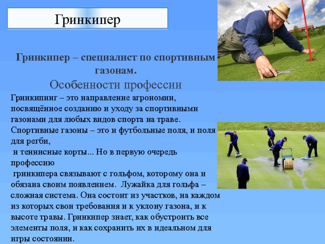 Гринкипер Гринкипер – специалист по спортивным газонам. Особенности профессии Гринкипинг – это направление агрономии, посвящённое созданию и уходу за спортивными газонами для любых видов спорта на траве.  Спортивные газоны – это и футбольные поля, и поля для регби,  и теннисные корты... Но в первую очередь профессию  гринкипера связывают с гольфом, которому она и обязана своим появлением.  Лужайка для гольфа – сложная система. Она состоит из участков, на каждом из которых свои требования и к уклону газона, и к высоте травы. Гринкипер знает, как обустроить все элементы поля, и как сохранить их в идеальном для игры состоянии. 