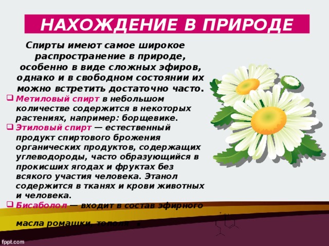 НАХОЖДЕНИЕ В ПРИРОДЕ Спирты имеют самое широкое распространение в природе, особенно в виде сложных эфиров, однако и в свободном состоянии их можно встретить достаточно часто. Метиловый спирт в небольшом количестве содержится в некоторых растениях, например: борщевике. Этиловый спирт — естественный продукт спиртового брожения органических продуктов, содержащих углеводороды, часто образующийся в прокисших ягодах и фруктах без всякого участия человека. Этанол содержится в тканях и крови животных и человека. Бисаболол — входит в состав эфирного масла ромашки, тополя   .  