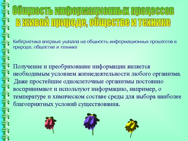 Кибернетика впервые указала на общность информационных процессов в природе, обществе и технике Получение и преобразование информации является необходимым условием жизнедеятельности любого организма . Даже простейшие одноклеточные организмы постоянно воспринимают и используют информацию, например, о температуре и химическом составе среды для выбора наиболее благоприятных условий существования.