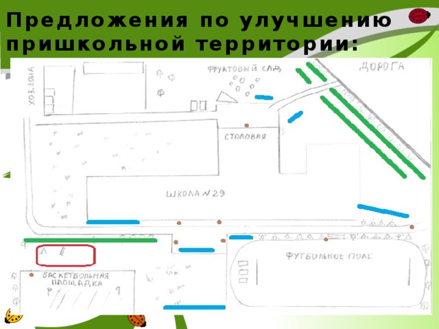 Предложения по улучшению пришкольной территории: 