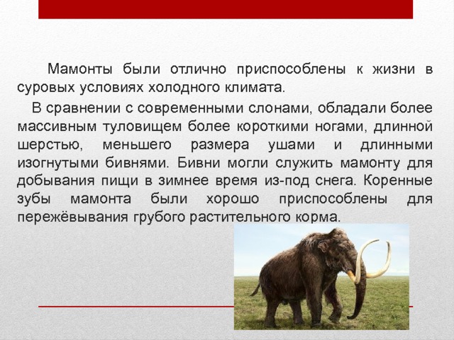Презентация про мамонтов