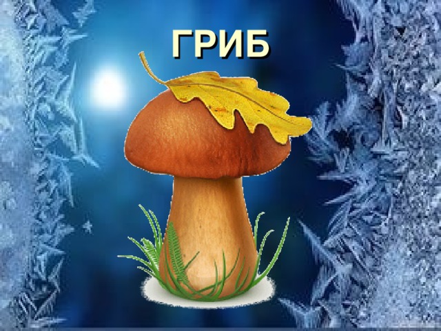 ГРИБ 