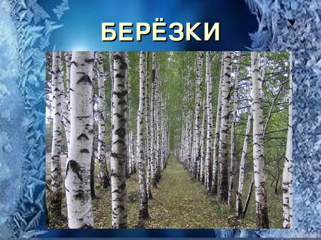 БЕРЁЗКИ 