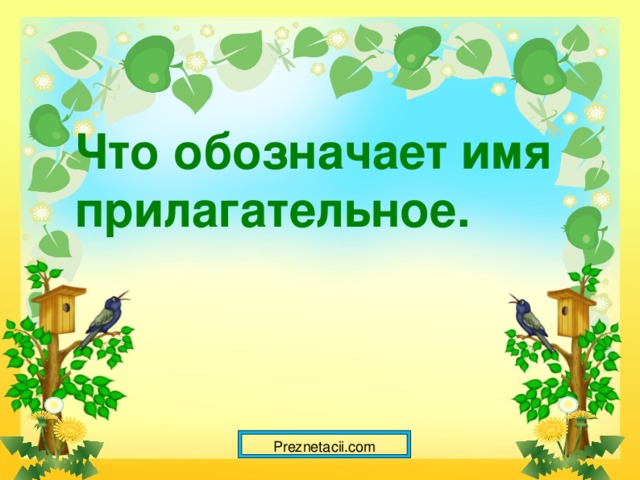Что обозначает имя прилагательное. Preznetacii.com  