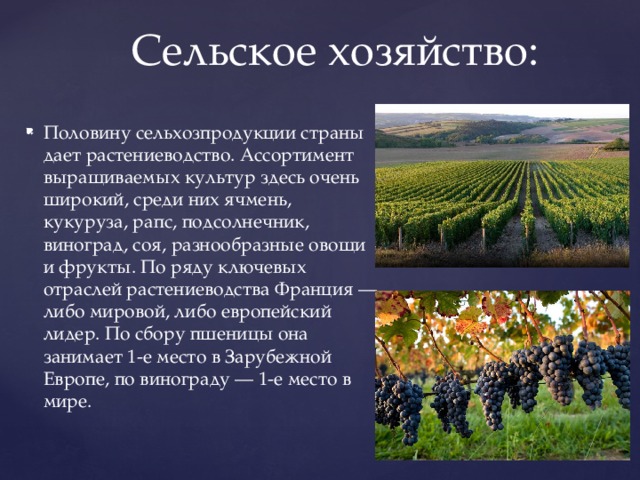 Сельское хозяйство: Половину сельхозпродукции страны дает растениеводство. Ассортимент выращиваемых культур здесь очень широкий, среди них ячмень, кукуруза, рапс, подсолнечник, виноград, соя, разнообразные овощи и фрукты. По ряду ключевых отраслей растениеводства Франция — либо мировой, либо европейский лидер. По сбору пшеницы она занимает 1-е место в Зарубежной Европе, по винограду — 1-е место в мире. 