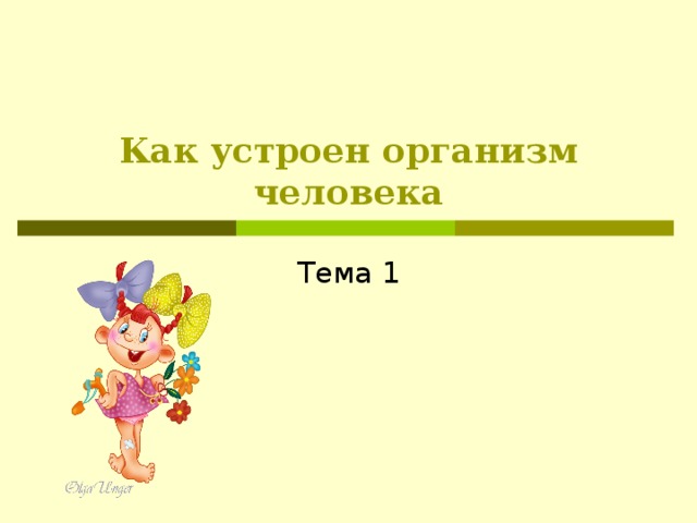 Как устроен организм человека Тема 1 