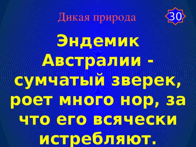 Дикая природа 30 Эндемик Австралии - сумчатый зверек, роет много нор, за что его всячески истребляют.