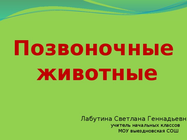 Позвоночные  животные Лабутина Светлана Геннадьевна  учитель начальных классов  МОУ выездновская СОШ 
