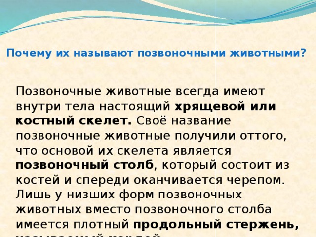 Сообщение о позвоночном животном 3 класс