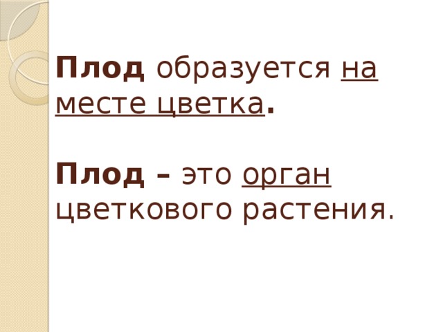 Плод образуется на месте цветка .   Плод – это орган цветкового растения.   