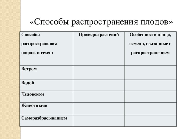  «Способы распространения плодов» Способы распространения плодов и семян Примеры растений Ветром Особенности плода, семени, связанные с распространением Водой Человеком Животными Саморазбрасыванием 