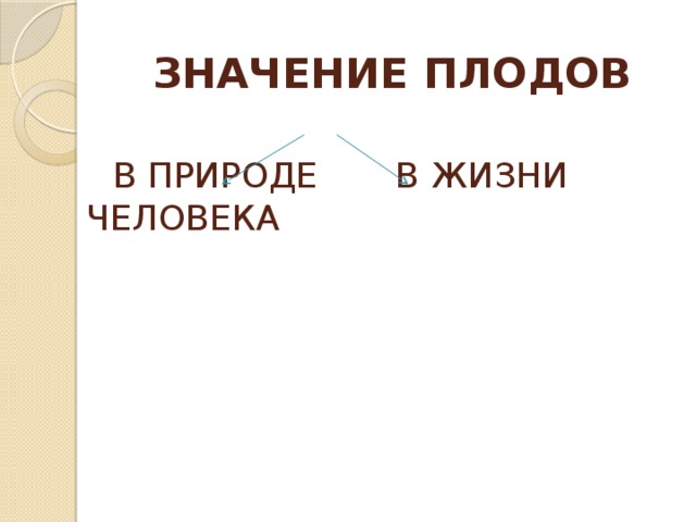  ЗНАЧЕНИЕ ПЛОДОВ    В ПРИРОДЕ В ЖИЗНИ ЧЕЛОВЕКА   