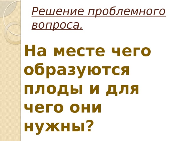 Решение проблемного вопроса. На месте чего образуются плоды и для чего они нужны? 