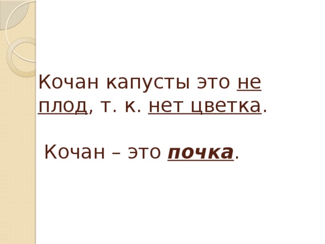 Кочан капусты это не плод , т. к. нет цветка .   Кочан – это почка . 