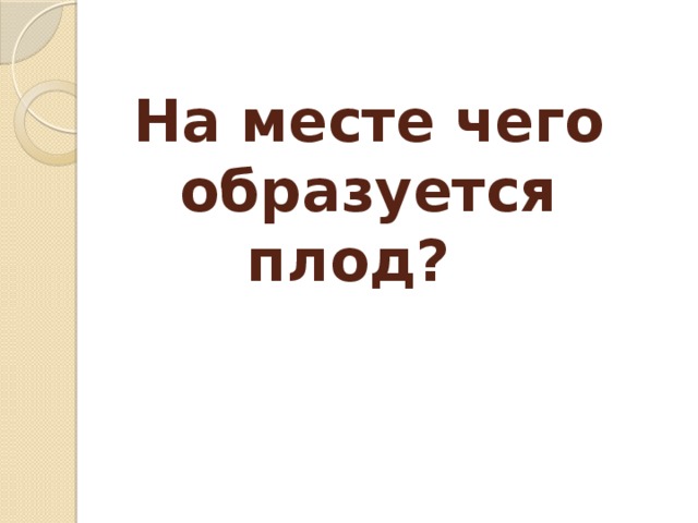 На месте чего образуется плод?   